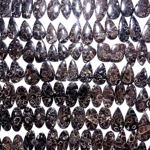 Premium Quality Turritella Agate Pair Smooth Cabochon Stones for Handmade Jewelry and Artisan Creations Available for Sale - Product Image 2