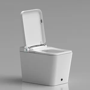 Cheap Price Smart Electric Automatic Toilet Commode With Tank