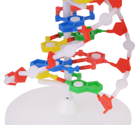 Modèle pédagogique de structure moléculaire de la double hélice d'ADN en PVC pour l'enseignement médical