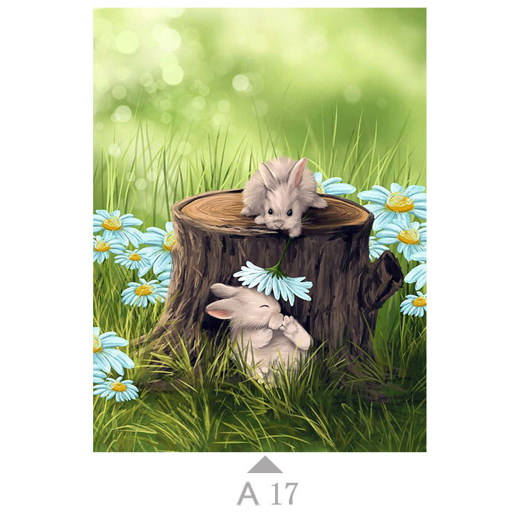 Multicolor-A17