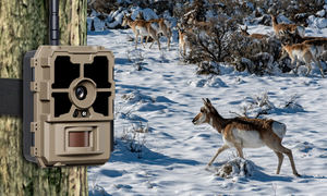 Caméra de <span class=keywords><strong>chasse</strong></span> numérique H6 LTE alimentée par batterie solaire, connectivité 4G, lumière IR sans flash 940 nm, capteur CMOS, élément 14MP 1080P - Product Image 5