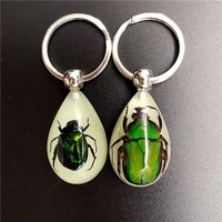Pendentif Scorpion en Résine Véritable Luminescent dans l'Obscurité, Spécimen d'Insecte en Ambre, Porte-clés Souvenir Cadeau pour Hommes avec Motif Animal