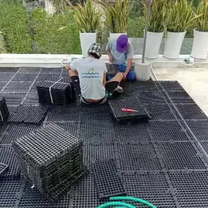 SDM HDPE Black And White Drainage Cell Mat Board For Garden Drainage