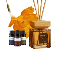 Diffuseur de parfum sans flamme à bâtonnets pour aromathérapie, désodorisant d'intérieur aux fragrances Thé Zen et Carillon Bleu