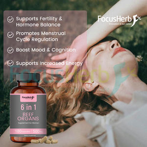 FocusHerb OEM Santé Féminine 6 en 1 Capsules Supplément d'organes de bœuf nourri à l'herbe - Product Image 4
