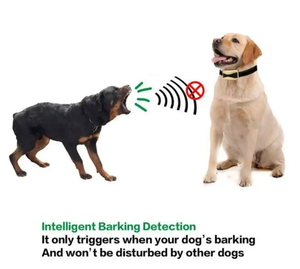 Kalung Pelatihan Anjing Digital Pintar Tahan Air Isi Ulang Emas Perak dengan Layar Digital, Kontrol Gonggongan, Daya Tahan Baterai Lama, Pengisian Daya USB - Product Image 5