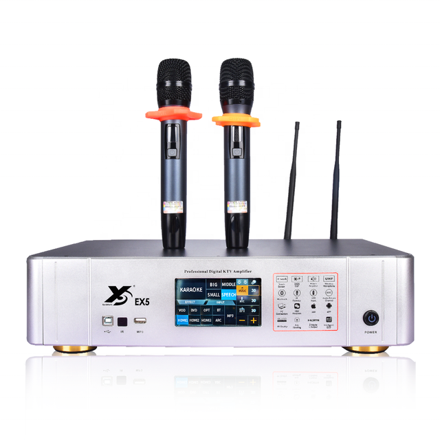 DSP 450W*2 Power Amplifier Home Use Karaoke Professional Digital Audio Processor