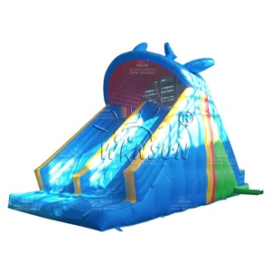 Tobogán Acuático Inflable WINSUN con Forma de Delfín, Doble Escalada Arqueada, Castillo Inflable Azul - Product Image 1
