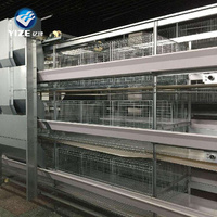 Cage de poulet à batterie de type a de volaille pour les poules et les bébés poussins