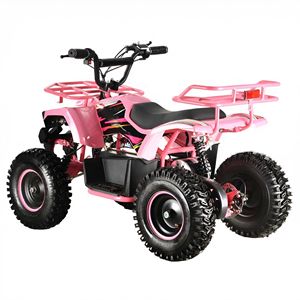 <span class=keywords><strong>Quad</strong></span> électrique pour enfants de haute qualité <span class=keywords><strong>48V</strong></span> 800W avec moteur à balais, transmission automatique, freins à double disque, best-seller - Product Image 3