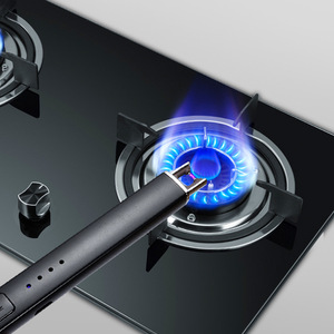 Arc Pulse USB Rechargeable Igniter Black Aluminum Alloy Scented Candle <b>Lighter</b> Windproof Function No - Product Image 3