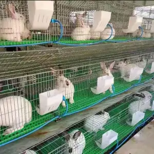 female rabbit cage cage breeding rabbit for sale rabbit cages commercial breeding farm
