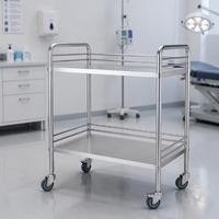 Chariot médical à double niveau en acier inoxydable pour instruments et médicaments, avec roulettes silencieuses et freins, pour cliniques et chirurgie