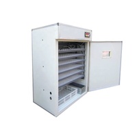 Incubateur solaire pour 1056 œufs, incubateurs automatiques avec éclosoir à Nanchang Edward Ltd