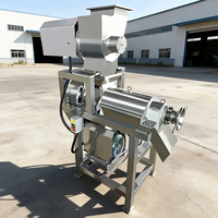 Commerciële spiraalvormige schroefpers sapcentrifuge van roestvrij staal, koude persmotor, hoge productiviteit, voor fruit, groenten en restaurants.