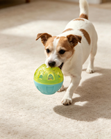 Juguetes Masticables Populares de TPR para Perros y Gatos - Uso en Interiores/Exteriores