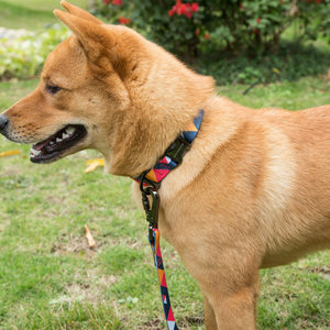 Calidad de sublimación estampado Collar de perro y correa set Venta caliente <span class=keywords><strong>en</strong></span> <span class=keywords><strong>Amazon</strong></span> - Product Image 4