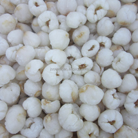 Iqf Frozen Groothandel Lychee Litchi Brc Haccp Iso Goedgekeurd Premium Kwaliteit Bevroren Fruit Oorsprong China