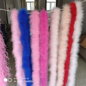 2m 25g Mini Turkey <strong>Down</strong> <strong>Feather</strong> Boas Decorative <strong>Feather</strong> Strips for Weddings and Parties - Product Image 6