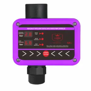 Customizable design pressure switch Automatic Pump Controlfor water pump GS+ model Original New type purple 2.2KW AC170-230V