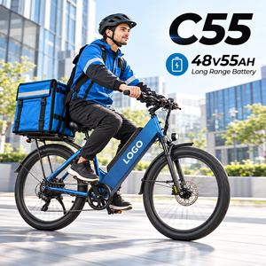 Vélo cargo électrique à pneus larges C55 48V55AH avec port de charge USB, suspension avant, frein à disque, vélo électrique pour adultes - Product Image 1