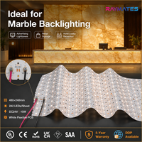 Feuille LED Flexible 242 LED/M 480x240mm Ultra Fine en Papier Blanc pour Panneau de Marbre Rétroéclairé Taille Personnalisée OEM Vente en Gros