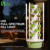 Système hydroponique vertical agricole à 5 étages de 30L pour la culture des fraises