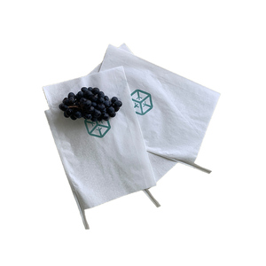 Bán Sỉ Túi Giấy Gói Trái Cây Nho Cho Ngày Cọ - Product Image 4