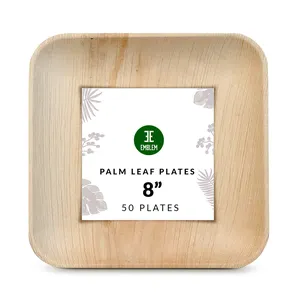 Piatti foglia foglia di palma piatti di bambù usa e getta quadrato da 8 pollici (50 pezzi) confezione da festa compostabile e biodegradabile Eco Friendly