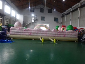 Prix usine extérieur personnalisé PVC arc-en-ciel gonflable parc d'attractions gonflable videur château cours pour les enfants pour l'événement - Product Image 5