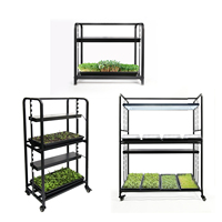 Support de culture de plantes à 2 niveaux en métal, personnalisable, pour jardin et pépinière, avec hauteur réglable, roulettes mobiles, noir