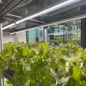Plantation hydroponique sans sol LED lampe de culture Science Hall combinaison fleur poisson et légumes symbiose planteur conteneur