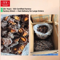 TONGXIANG Fabrieksdirecte Prijs Verse Gezonde Zoete Smaak Half-Bloesem Pruimen 100% Natuurlijk Gedroogd Fruit 90g Individueel Verpakt 12