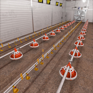 Miễn phí-Phạm vi tầng nâng cao quản lý Gà Thịt chăn nuôi gia cầm trang trại Pan trung chuyển hoàn toàn tự động cho ăn Hệ thống dòng - Product Image 1