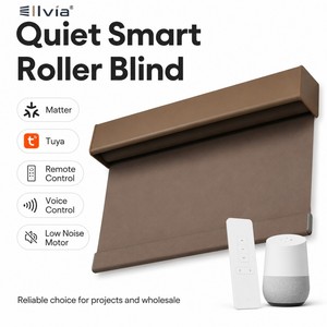 Commerical Large Smart Motorized <strong>Blinds</strong> No Drill Electr Roller <strong>Blinds</strong> Smart Eindiw Roller <strong>Blinds</strong> - Product Image 1