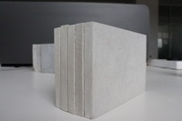 Panneau léger de silicate de calcium de faible densité de 6 à 30mm pour le système ignifuge Rabt Tunnel Top