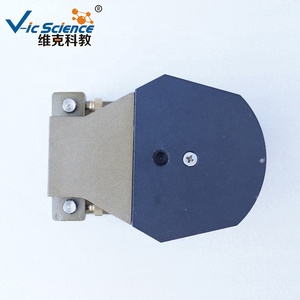 Modello di Dentatura Typodont per Pratica Odontoiatrica, Modello di Simulazione Ortodontica per Formazione in Cura Dentale - Product Image 6