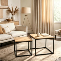 Ensemble de deux tables basses modernes durables avec rangement, multifonctionnelles, empilables, avec structure en métal et plateau en bois, meubles de salon