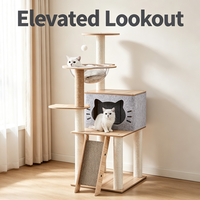 Arbre à chat en bois avec capsule spatiale transparente, maisonnette pour chat, poteaux à gratter en sisal et planche à gratter inclinée