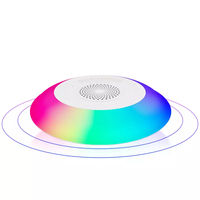 Haut-parleur de douche Hifi Sound IPX7 Résistance à l'eau Haut-parleur BT sans fil portable rond extérieur avec lumière LED colorée