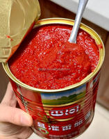 Industrie Grote Tomatenpuree Productielijn Mini Complete Industriële Concentraat Tomatenketchup Verwerkingsfabriek