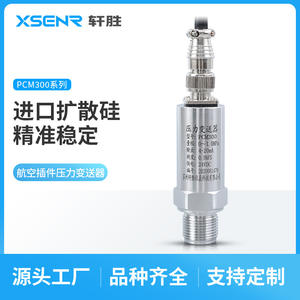 Transmetteur de pression Xuansheng PCM300 0-1MPa 4-20mA en acier inoxydable IP65 Capteur de sortie M20X1.5 - Product Image 5