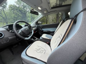 Gebrauchter <span class=keywords><strong>2022</strong></span> Chery Little Ant EQ1 301km Reichweite Linkslenker Elektro-Kleinwagen 50kW Einzelbesitzer Unfallfrei Niedriger Kilometerstand Chinesischer Exportverkauf - Product Image 3