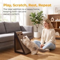 Griffoir pour chat durable en carton ondulé triangulaire, résistant aux griffures, ne laisse aucune copeaux, herbe à chat incluse