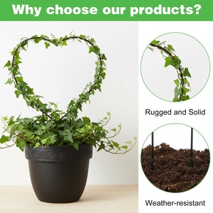 Soporte <span class=keywords><strong>de</strong></span> Plantas en Forma <span class=keywords><strong>de</strong></span> Corazón para Interiores, Poste <span class=keywords><strong>de</strong></span> Soporte para Plantas Verdes, Adecuado para Plantas en Maceta <span class=keywords><strong>de</strong></span> Jardín, <span class=keywords><strong>Hoya</strong></span>, Pothos y Varias Flores - Product Image 3