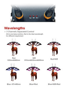 Équipement de physiothérapie vétérinaire à lumière rouge infrarouge LED, certifié MDSAP, pour chevaux, thérapie par lumière rouge, thérapie par lumière rouge pour animaux de compagnie - Product Image 2