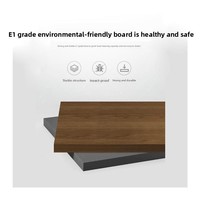 WJG-239X Armoire de rangement de bureau en bois ignifuge, moderne et minimaliste, pour usage commercial