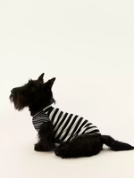 Gilet rafraîchissant rayé pour chien, idéal printemps-été, fin, respirant, lavable en machine, vêtements pour animaux de compagnie, convient aux petits chiens et aux Teckels