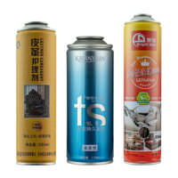 Boîtes de Boissons Vides Personnalisables Imprimées Fines et Élégantes Standard 250ml 330ml 355ml 473ml 500ml