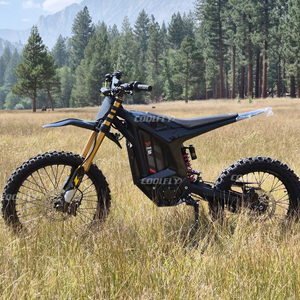 Motocicleta Todoterreno de Vanguardia Cloud Leopard Pro S de Alta Velocidad 16800W 20000W - Product Image 2